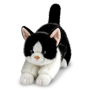 Borealis zwart witte kat