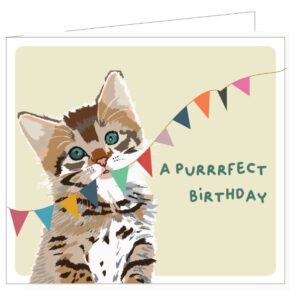 Kaartje PIPPA033 - A purrrrrfect birthday